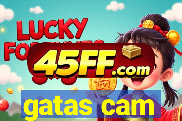 gatas cam